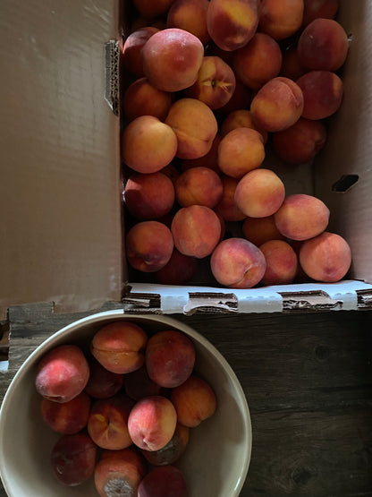 Palisade Colorado Peaches