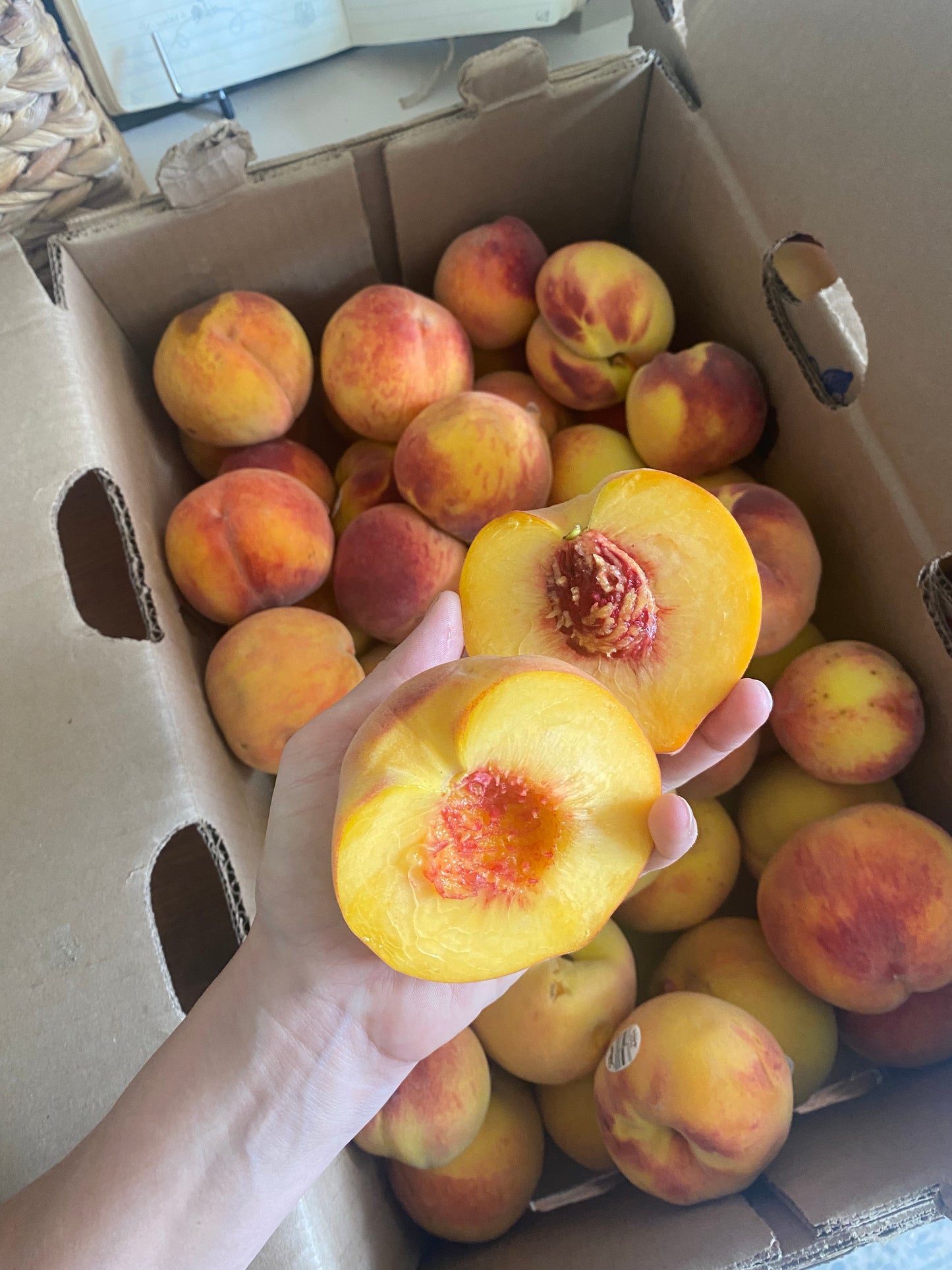 Palisade Colorado Peaches