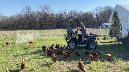 Pasture-Raised Brown Eggs, 1 Dozen